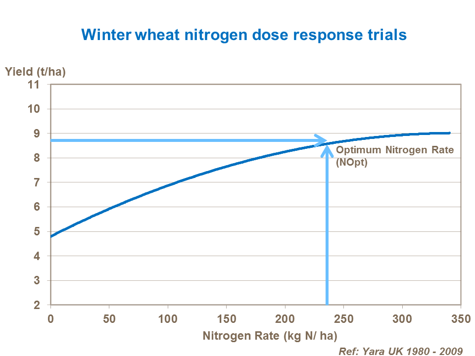 Winter wheat nitrogen dose response trials