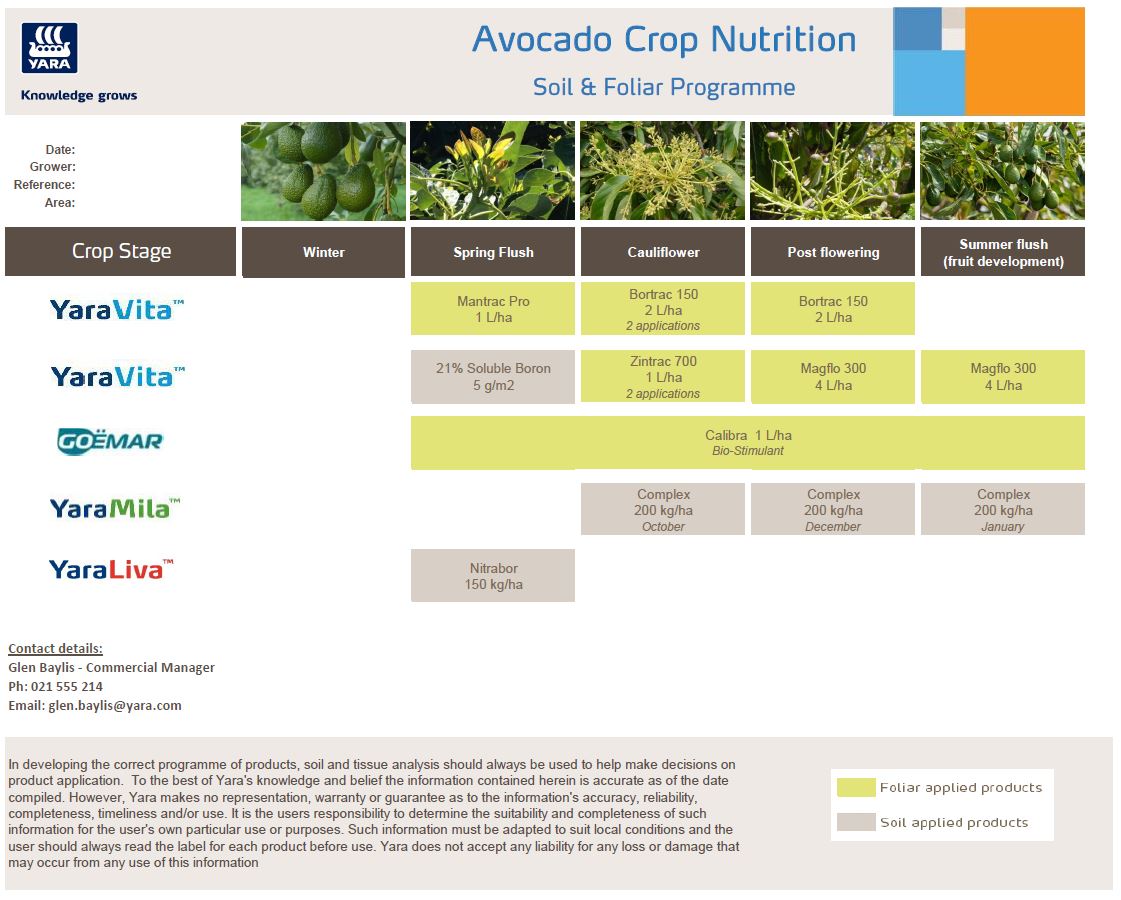 Avocado programme 2020.JPG
