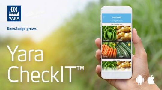 CheckIT image 540 x 300.jpg