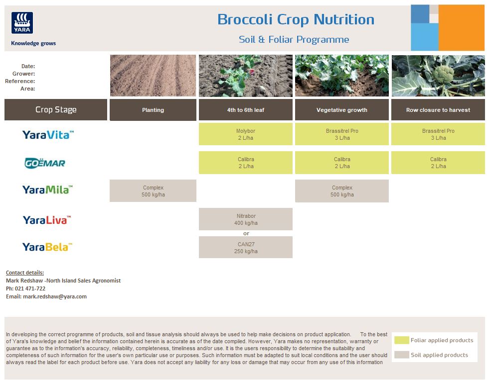 Broccoli 17Aug20.JPG
