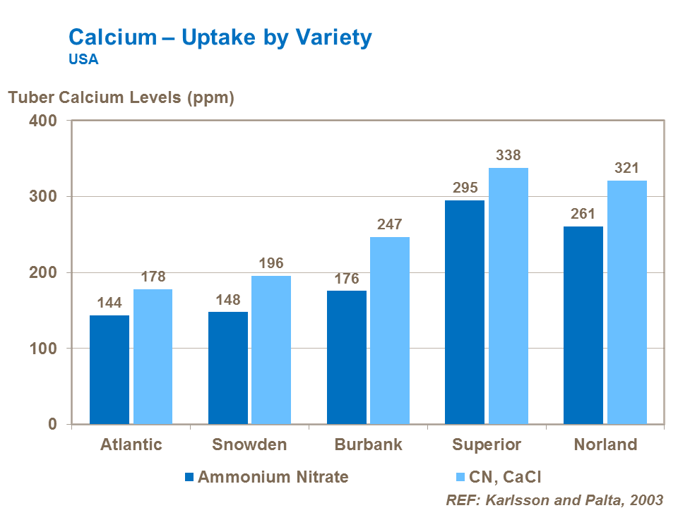 Calcium uptake by potato variety