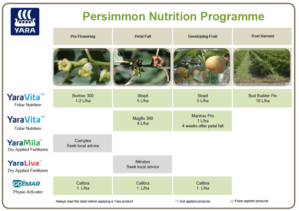 Persimmon crop nutrition programme