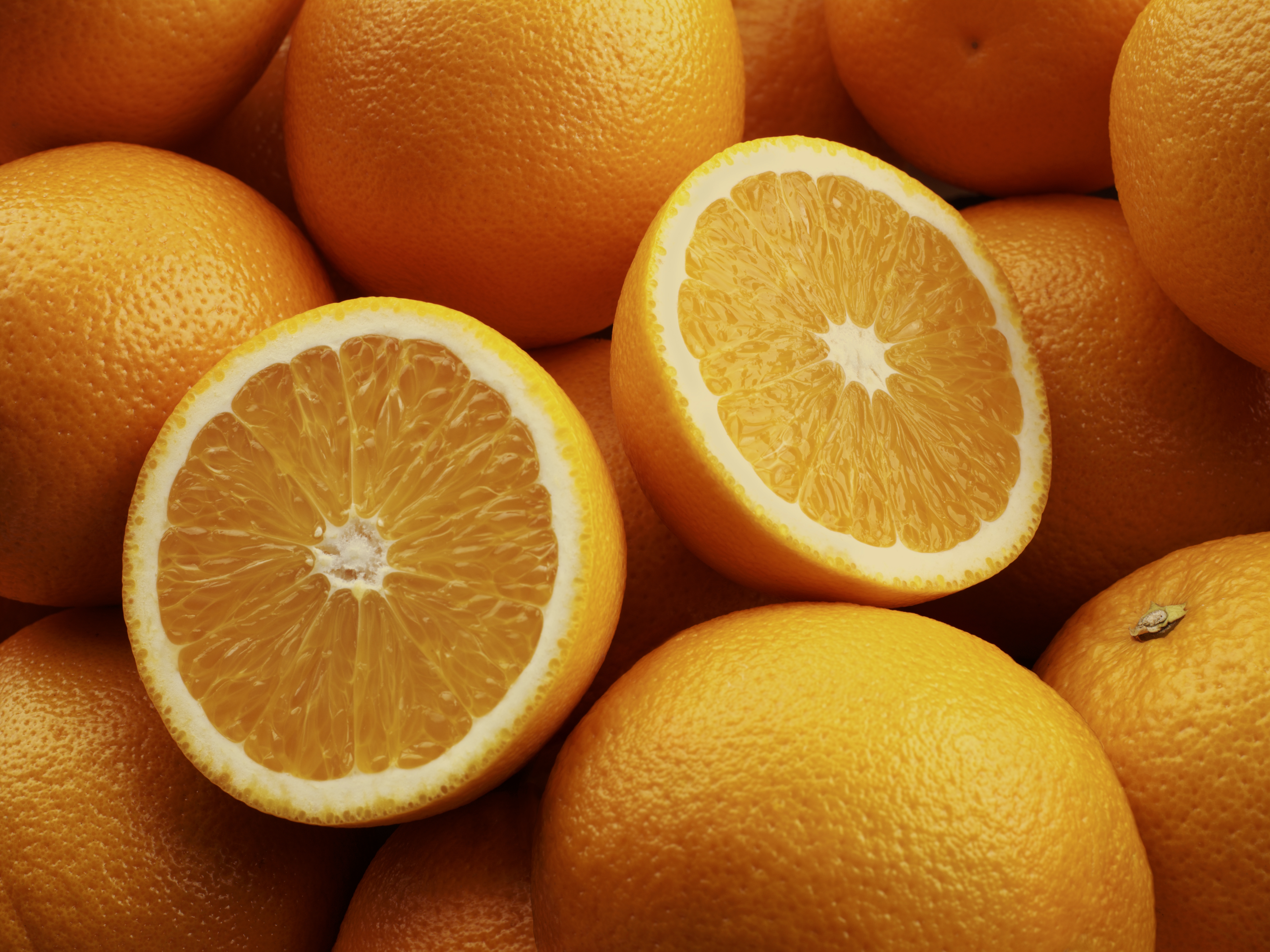 Citrus crop nutrition programme